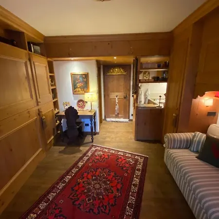 Apartment Incantevole Monolocale In Centro A Cortina. Cortina d'Ampezzo